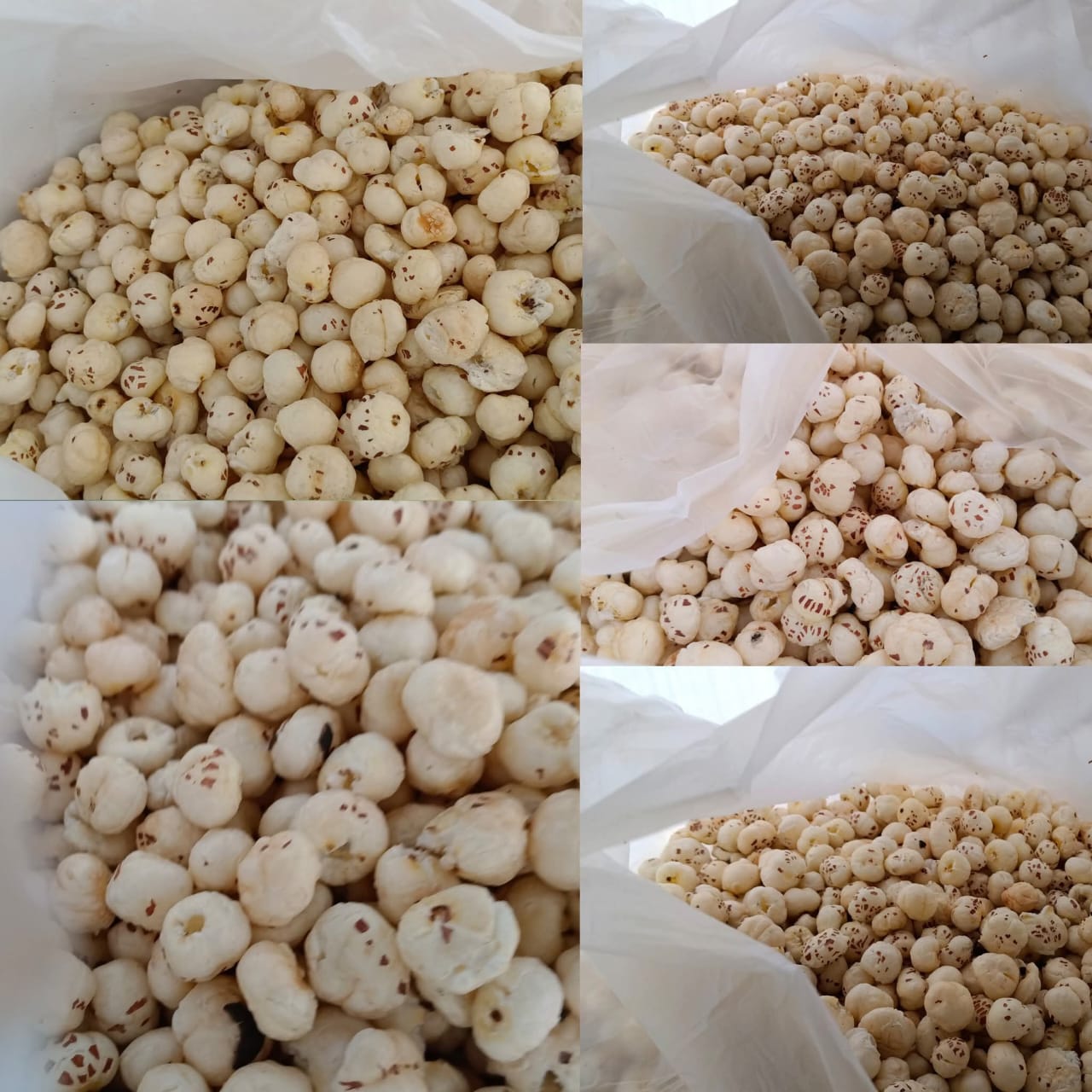 From Farm to Fit – Pure & Natural Novis Makhana